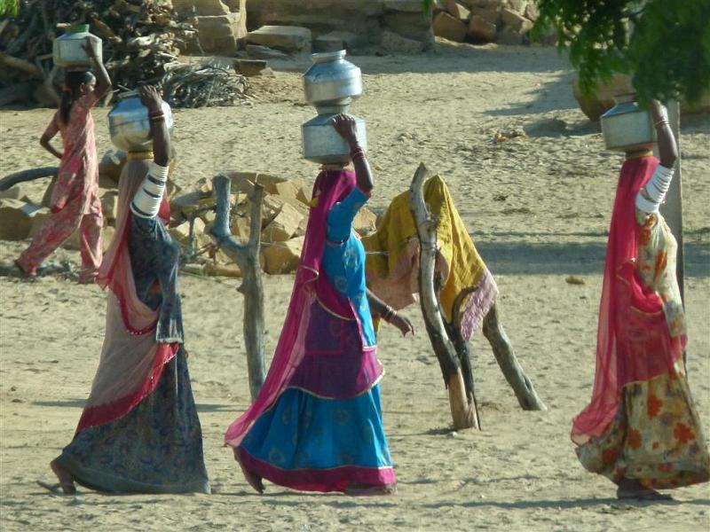 Rajasthan 2011-09-23 16-39-57 (P1040422) (Large).JPG